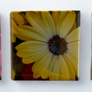 1 Custom 2x2-Inch Magnet Package